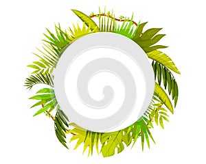 Hand drawn flat tropical round frame background
