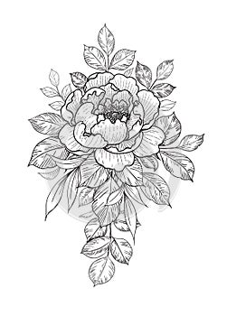 Hand Drawn Floral Bunch with Flower and Leaves