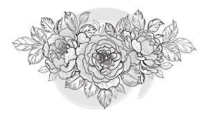 Hand Drawn Floral Bunch with Peony Flowers  and Leaves