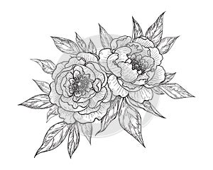 Hand Drawn Floral Bunch with Peony Flowers and Leaves