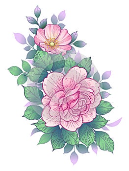 Hand Drawn Floral Bunch with Pink Roses and Leaves