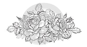 Hand Drawn Floral Bunch with Roses, Buds and Leaves