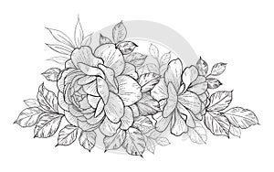 Hand Drawn Floral Bunch with Roses and Different Leaves