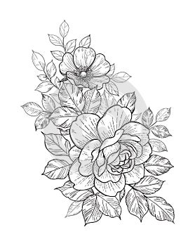 Hand Drawn Floral Bunch with Roses and Leaves