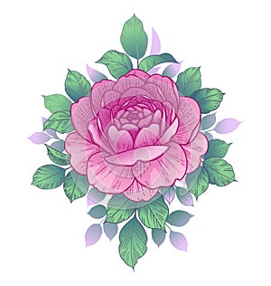 Hand Drawn Floral Composition with Pink Rose and Leaves