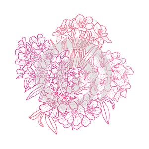 Hand drawn floral decoration photo