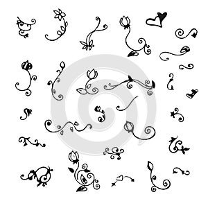 Hand drawn floral decorative elements for design.