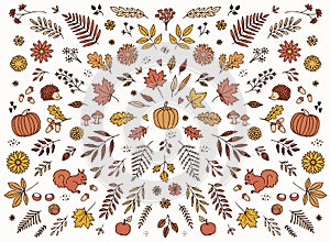 Hand drawn floral elements for autumn