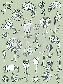Hand drawn floral elements, set 2