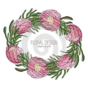 Hand drawn floral frame with flowers King Protea, branch and leaves. Elegant logo template.