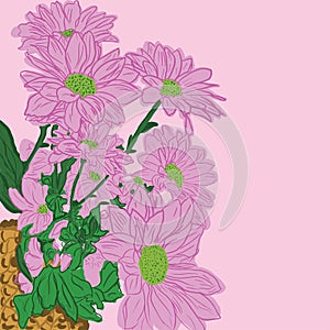 Hand drawn Floral Gerbera Flower vector illustration.