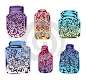 Hand drawn floral jars with moth and butterfly. Vector stickers with trendy gradient