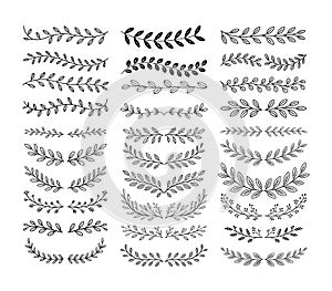 Hand Drawn Floral and Leaf Border Elements Set for Frames