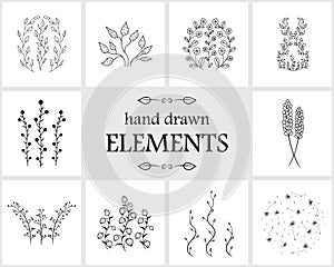 Hand drawn floral logo elements and icons