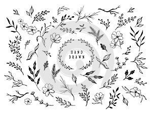 Hand drawn floral ornaments. Decorative flower, leaf and branch for wedding invitation design. Nature elements vector