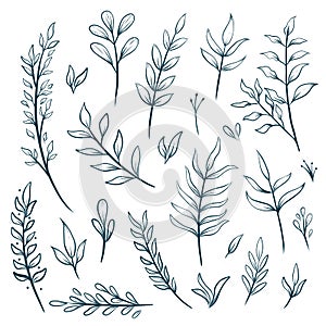 Hand drawn floral outline leaf decorative elements