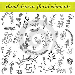 Hand drawn floral set