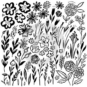Hand drawn floral set. Vector floral elements. Collection with leaves and flowers.