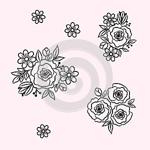 Hand drawn florals outline style. Black contour doodle peony flowers and daisy plants. Monochrome floral elements.