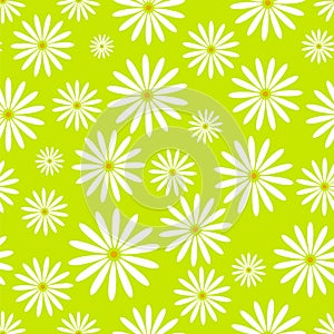 Hand drawn flower seamless pattern easter chamomile wallpaper with print ornament decoration and floral graphic art