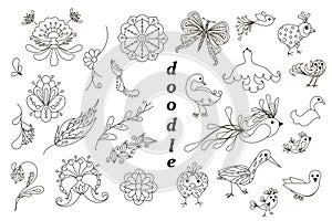 Hand drawn flowers and birds clipart, stylized thin lines monochrome doodle