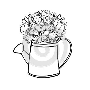 Hand drawn flowers cosmos and chamomile in a watering can on a white background