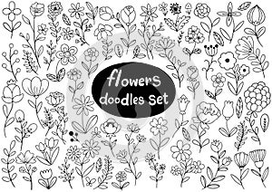 Hand drawn flowers doodle Ornaments background pattern Vector illustration