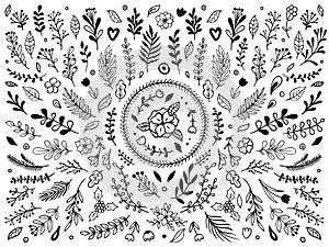 Hand drawn flowers ornament. Ornamental sketch flourish flower. Vintage floral ornaments isolated vector elements set photo