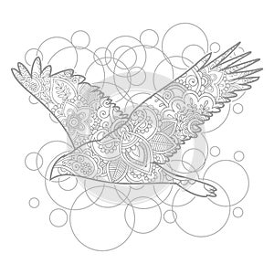 hand drawn flying bird doodle animal paisley adult stress release coloring page zentangle