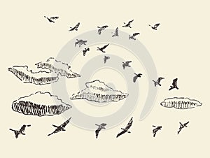 Hand drawn flying birds sky clouds migratory photo