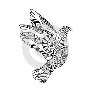 Hand drawn flying dove for adult anti stress colouring page.