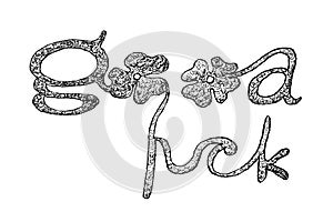 Hand Drawn of Four Leaf Clovers With Good Luck Sign