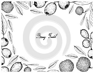 Hand Drawn Frame of Bayberry and Cleistocalyx Operculatus Fruits photo