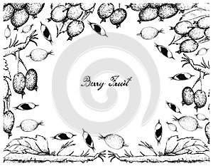 Hand Drawn Frame of Blackberry Jam Fruits and Blackberries