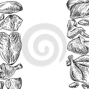 Hand drawn frame of Chicken cuts, hen parts. Domestic bird meat set.