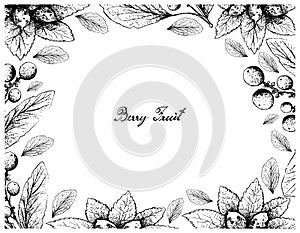 Hand Drawn Frame of Dwarf Whitebeam and Orangeberry Fruits