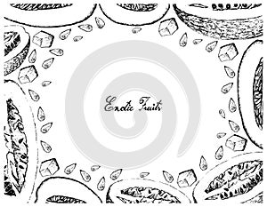 Hand Drawn Frame of Honeydew Melon and Chiverre Frutis