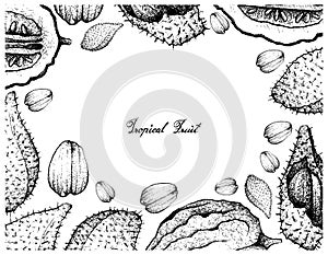 Hand Drawn Frame of Luk Rakam and Etrog Fruits