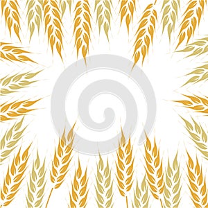 Hand drawn frame of rice wheat ears. Vector illustration of frame for text. Poster, announcement, greeting card