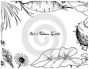 Hand Drawn Frame of Root and Tuberous Vegetables