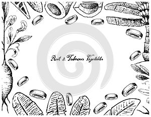 Hand Drawn Frame of Root and Tuberous Vegetables