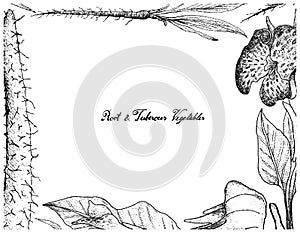 Hand Drawn Frame of Root and Tuberous Vegetables