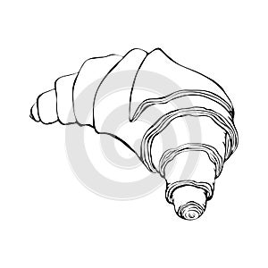 Hand drawn french croissant sketch isolated on white. vector illustration of fresh baked croissant in ink outline style