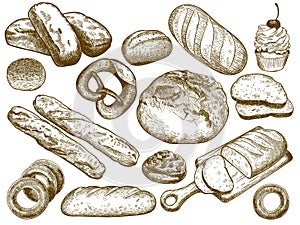 Hand drawn fresh bread. Sesame bun, pretzel and french loaf. Sketch bakery breads vector illustration set