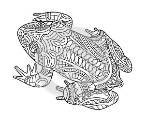 Hand drawn frog for coloring book for adult