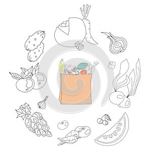 Hand drawn fruits and veges arounf the paper bag with groceries