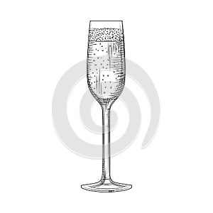 Hand drawn full champagne glass sketch. Sparkling wine glass
