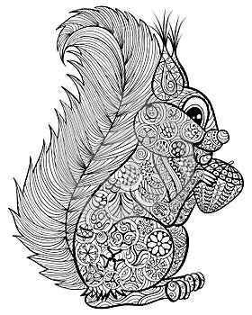 Hand drawn funny squirrel with nut for adult anti stress Colori photo