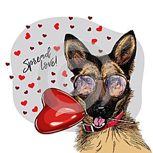 Hand drawn german shepherd with heart shape baloon. Vector Valentine day greeting card, poster. Cute colorful dog wears