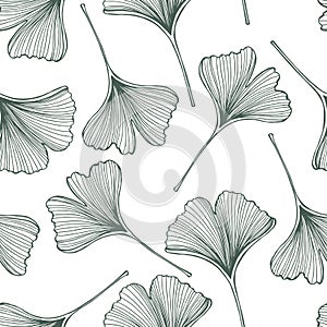 Hand drawn Ginkgo leaves. Vector pattern